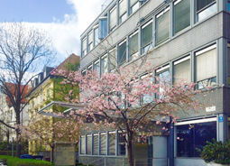 Gebäude Kirschblüten